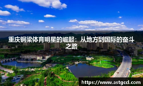 乐盈VI