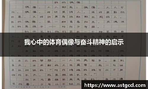乐盈VI官网
