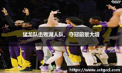 乐盈VI官网