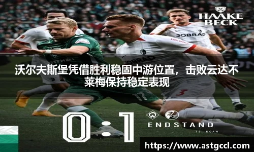 乐盈VI官网