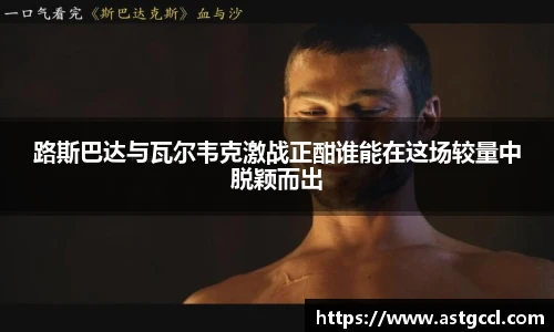 乐盈VI官网