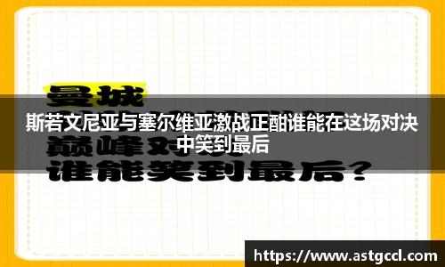 乐盈VI官网