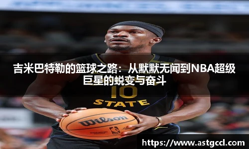 乐盈VI官网