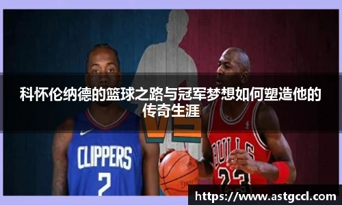 乐盈VI官网